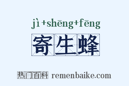 寄生蜂是什么意思的图片